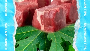 Video KuTips: 2 Rekomendasi Bahan Pengempuk Daging